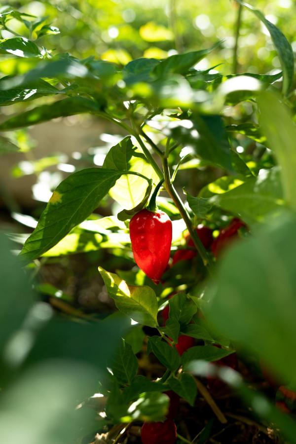 Hotel A Natural Retreat Mijas Exterior foto