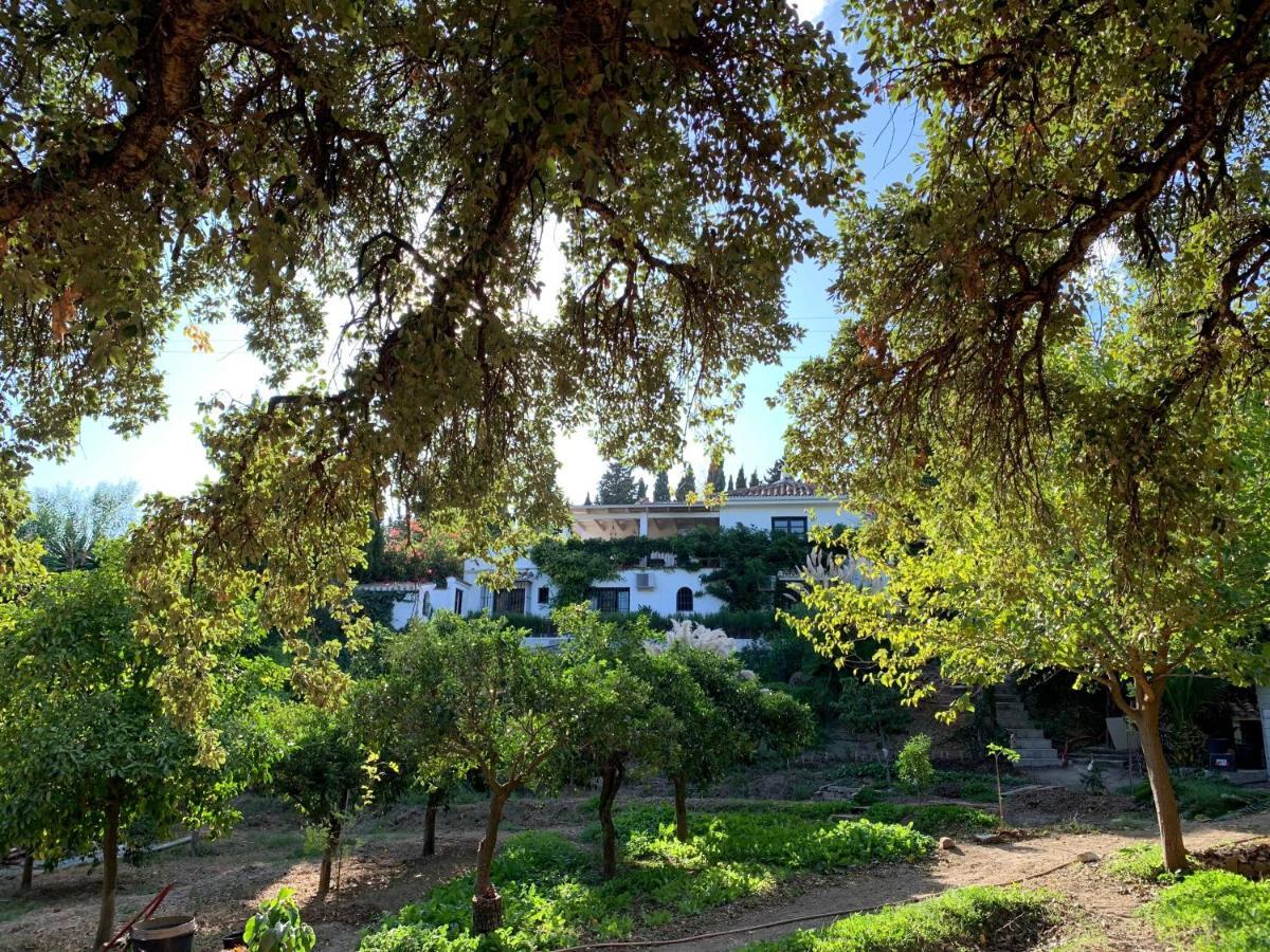 Hotel A Natural Retreat Mijas Exterior foto